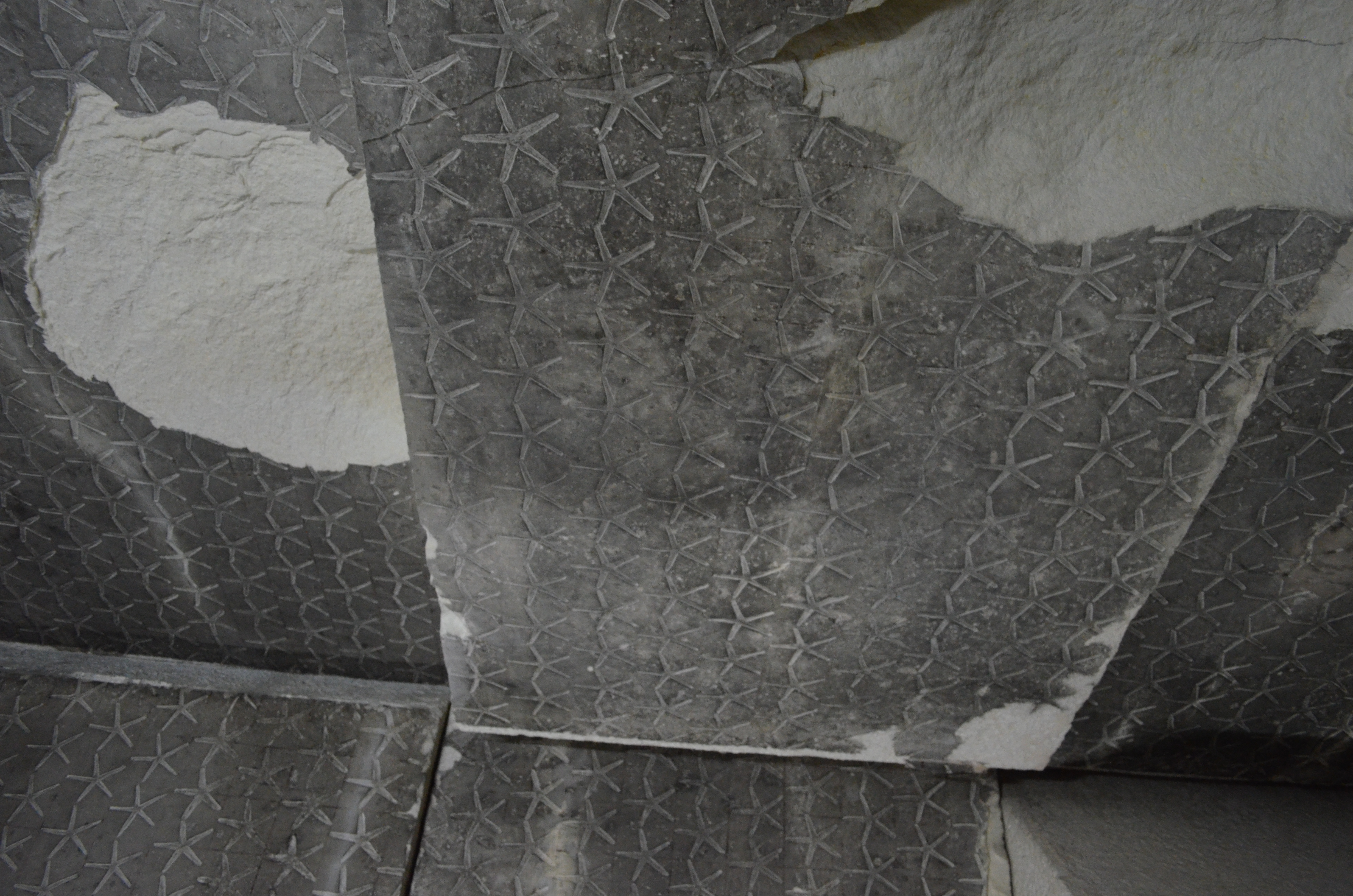 ./2018/16 - Egypt/03 - Pyramids/DSC_0097.JPG